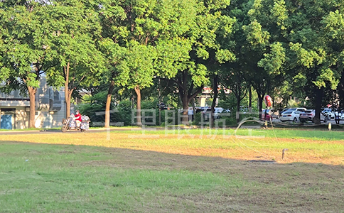 網捕穿越機:空域安全的新守護者 網捕穿越機:空域安全的新守護者